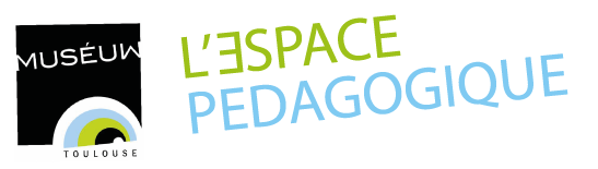 Espace pédagogique, Museum de Toulouse