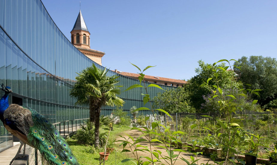 Muséum d'histoire naturelle de Toulouse - Espace Pédagogique des médiation